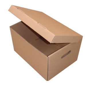 Archive Carton - Plain